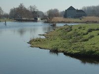 NL, Noord-Holland, Oostzaan, Polder Oostzaan 1, Saxifraga-Marijke Verhagen